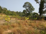 plot in a gated community near Vidhyodaya School